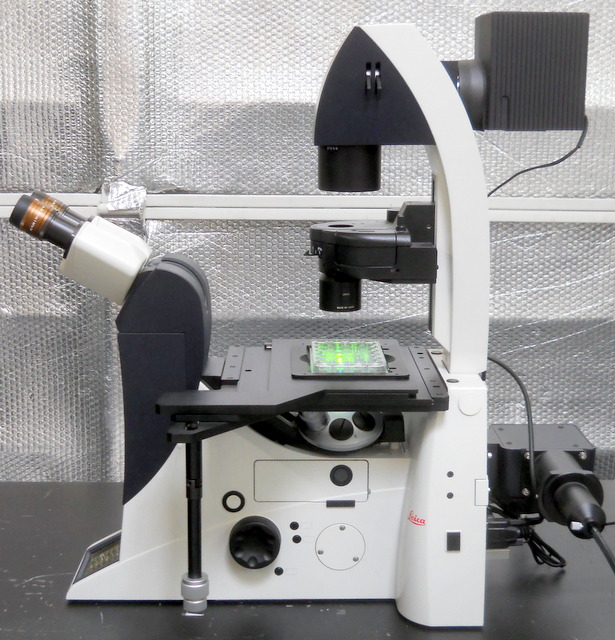 DMI4000B Inverted Fluorescence Research Microscope