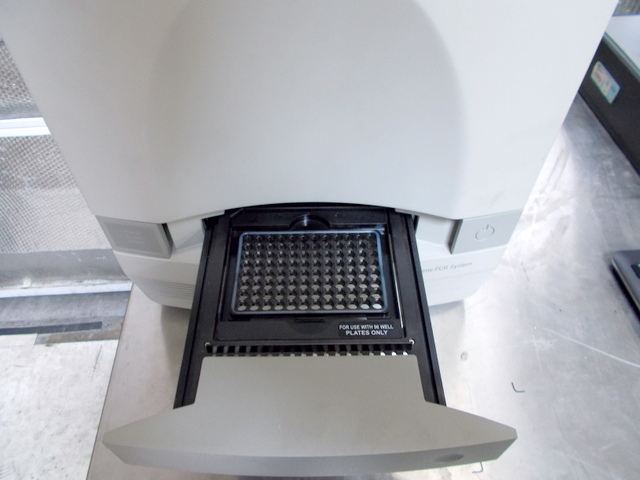 7300 Real-Time PCR System