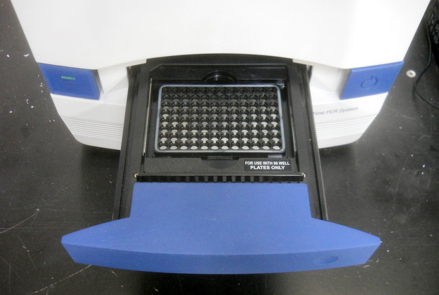 7500 Real-Time PCR System