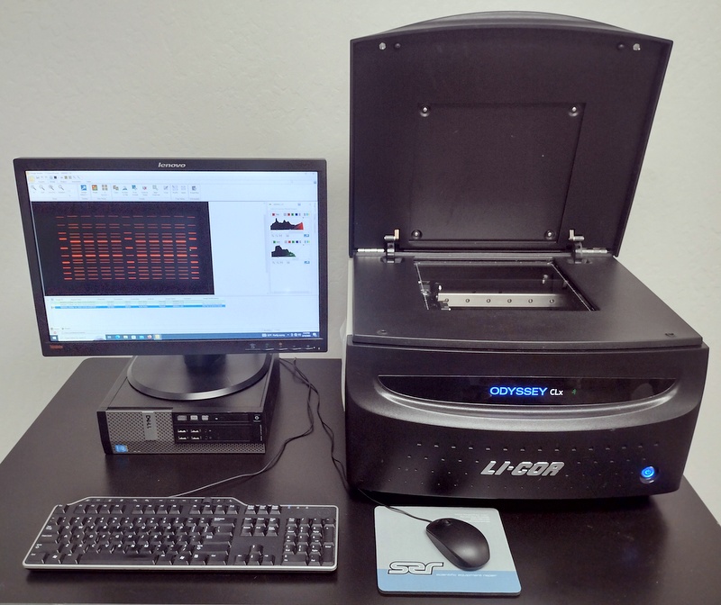 Odyssey CLx 9140 Imaging System