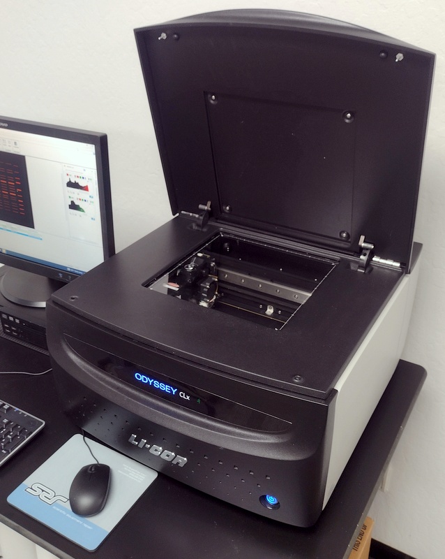 Odyssey CLx 9140 Imaging System