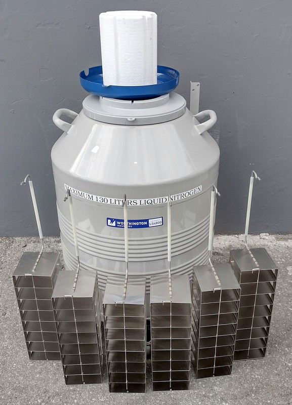 LS4800 Nitrogen Storage Dewar